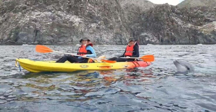Tenerife Exclusive Small Group Kayaking Tour With Snorkeling - Pricing and Inclusions