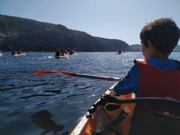 Tenerife Exclusive Small Group Kayaking Tour With Snorkeling - Booking and Cancellation