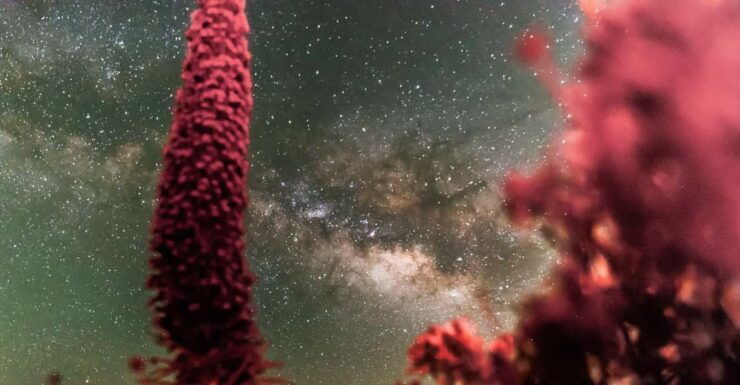 Tenerife: Explore the Universe - Teide Telescope Experience - Experience Details