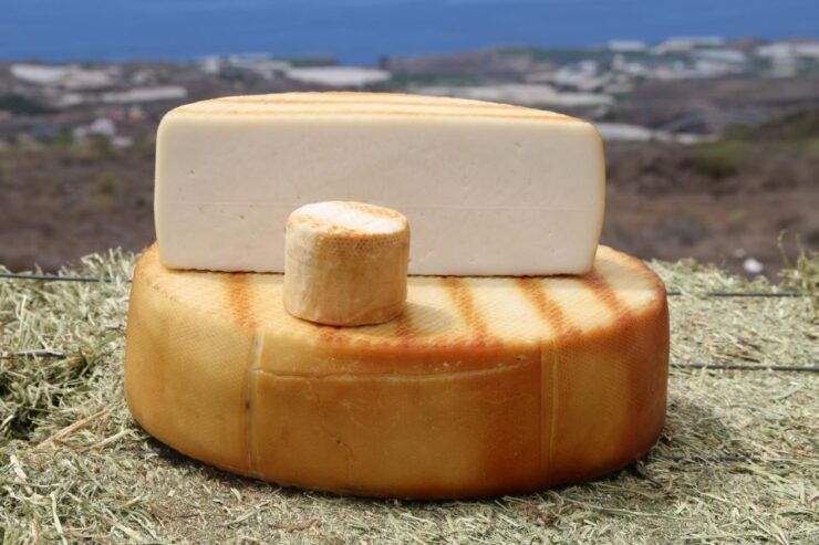 Tenerife - Farm Tour With Cheese Tasting - Farm Tour Overview