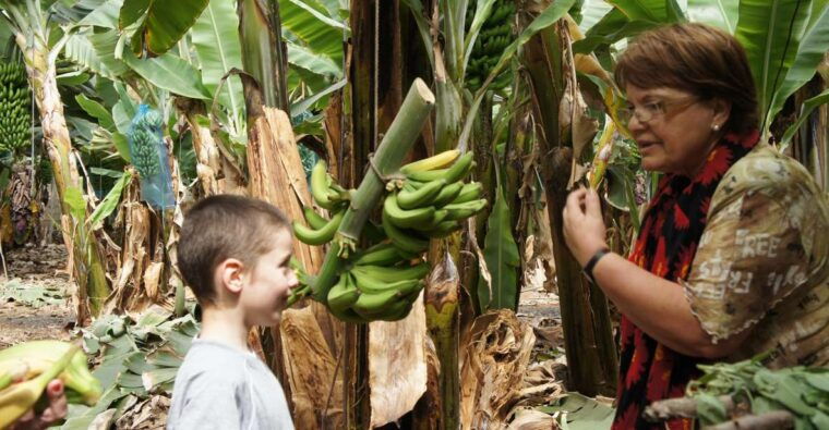 Tenerife: Finca Las Margaritas Banana Plantation Experience - Highlights of the Plantation Tour