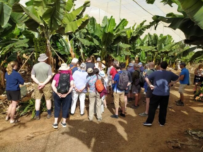 Tenerife: Finca Las Margaritas Banana Plantation Experience - Directions
