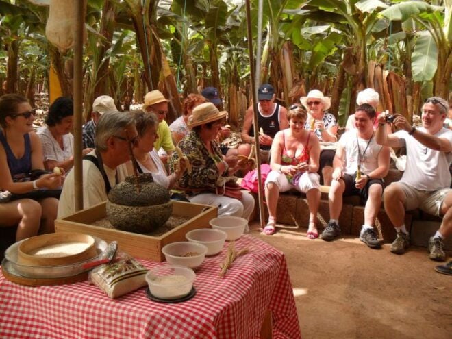 Tenerife: Finca Las Margaritas Banana Plantation Experience - Reviews and Ratings
