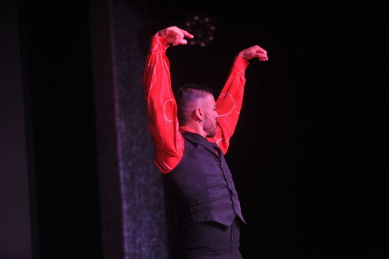 Tenerife: Flamenco Performance at Teatro Coliseo - Venue and Amenities