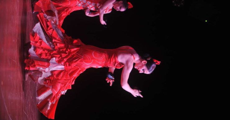 Tenerife: Flamenco Performance at Teatro Coliseo - Ticket Information and Flexibility
