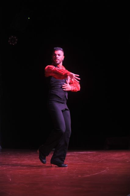 Tenerife: Flamenco Performance at Teatro Coliseo - Experience Highlights