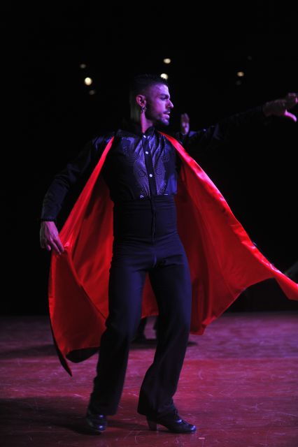 Tenerife: Flamenco Performance at Teatro Coliseo - Customer Reviews and Information