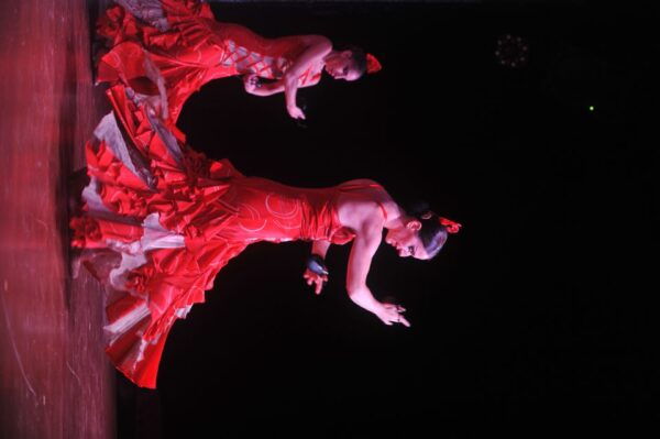 Tenerife: Flamenco Performance at Teatro Coliseo - Common Questions