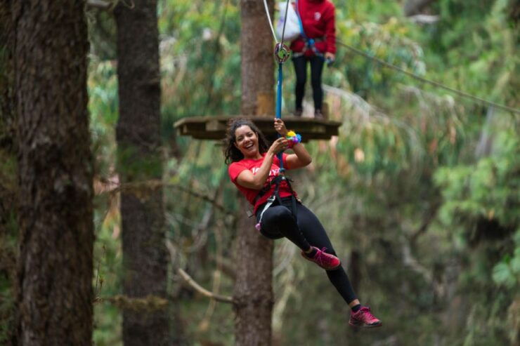 Tenerife: Forestal Park Tenerife Entry Ticket - Ticket Details