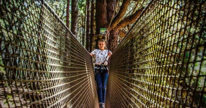 Tenerife: Forestal Park Tenerife Entry Ticket - Restrictions