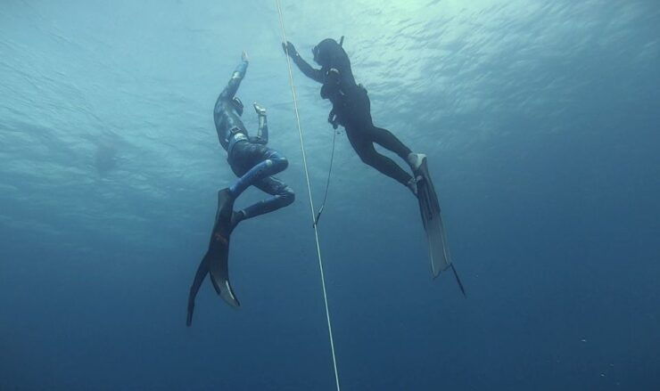 Tenerife: Freediving Discovery Course - Booking Details
