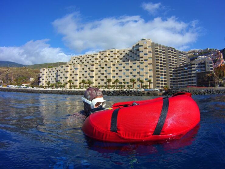 Tenerife: Full-Day of Discovering Freediving - Experience Overview