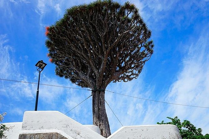 Tenerife Full Island Tour - Departure Point and Pickup Arrangements