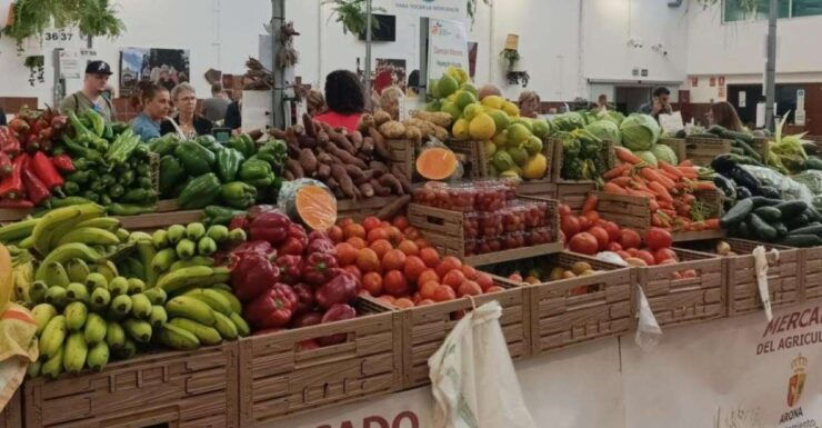Tenerife: Gastro Wine South Experience - Booking Details for the Tour