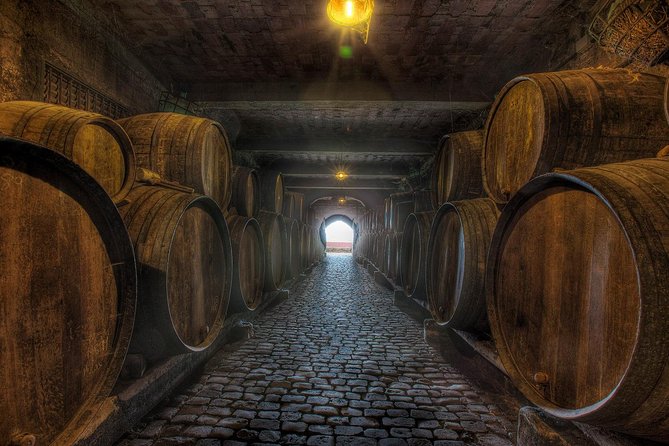 Tenerife Gastronomy Tour With Two Winery Visits and 4-Course Lunch - Logistics and Policies
