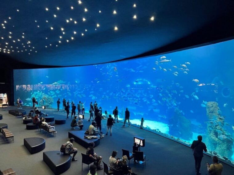 Tenerife: Gran Canaria Full-Day Guided Tour With Aquarium - Customer Feedback
