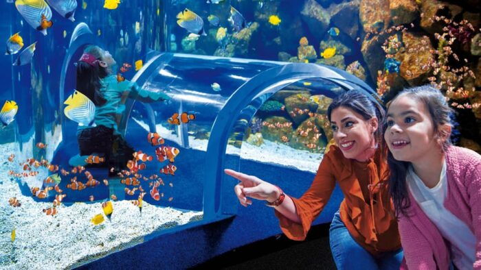 Tenerife: Gran Canaria Full-Day Guided Tour With Aquarium - Discovering the Historical Vegueta District