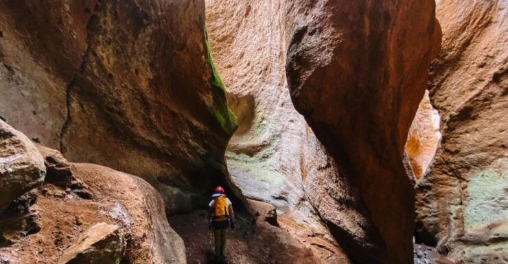 Tenerife: Guided Canyoning Experience in Los Arcos - Activity Details