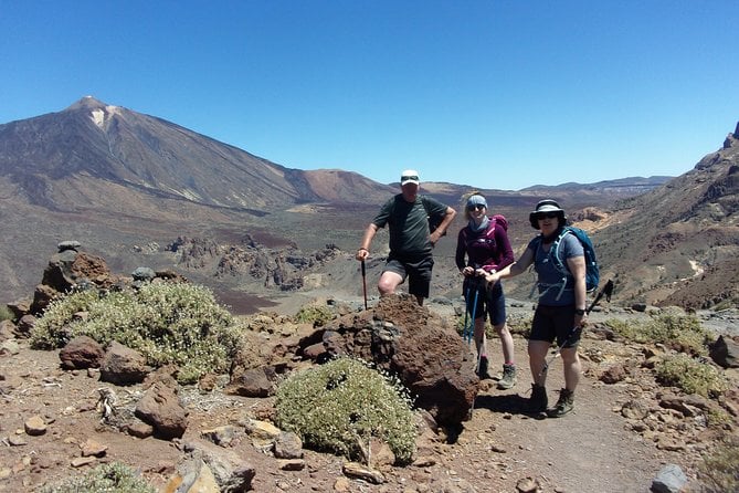 Tenerife Guided Hiking Tour - Overview and Pickup Information