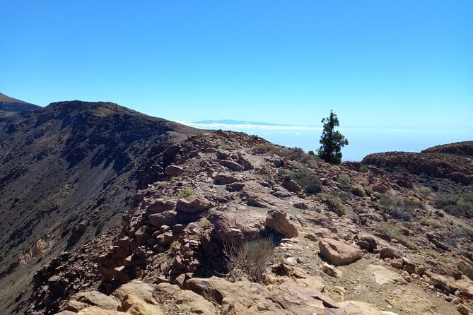Tenerife Guided Hiking Tour - Traveler Photos