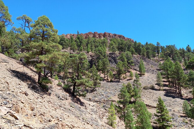 Tenerife Guided Hiking Tour - The Sum Up