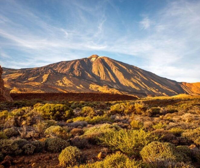 Tenerife: Guided Off-Road Quad Tour on Mount Teide - Important Requirements and Information
