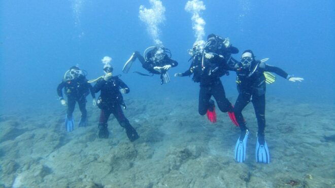 Tenerife; Guided Scuba Diving Trips by Boat in Small Groups - Frequently Asked Questions