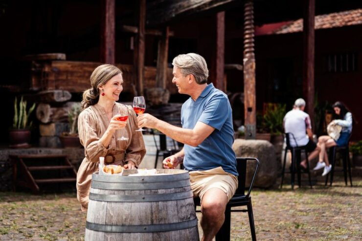 Tenerife: Guided Tour at Casa Del Vino & Wine Tasting - Good To Know