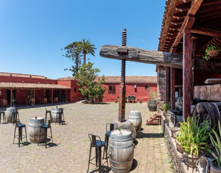 Tenerife: Guided Tour at Casa Del Vino & Wine Tasting - Experience Highlights
