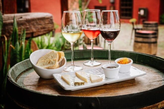 Tenerife: Guided Tour at Casa Del Vino & Wine Tasting - Complete Description
