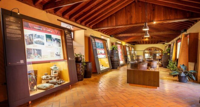 Tenerife: Guided Tour at Casa Del Vino & Wine Tasting - Background