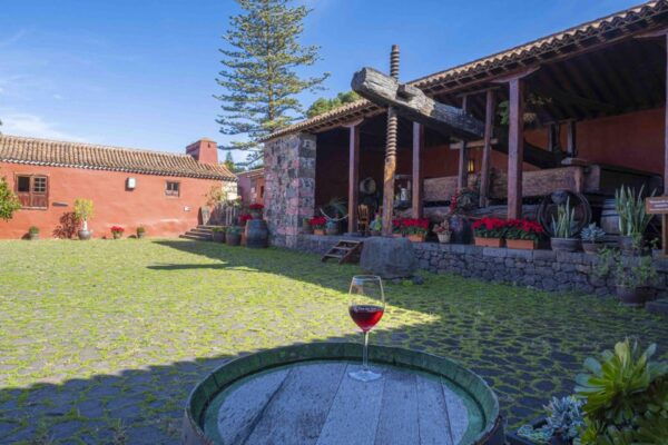 Tenerife: Guided Tour at Casa Del Vino & Wine Tasting - Pricing and Reservation