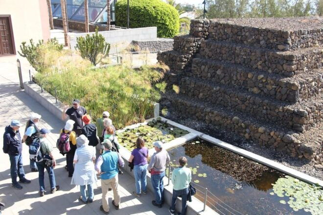 Tenerife: Guided Tour at the Pyramids of Güímar - Included Features