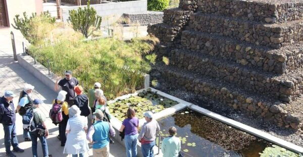 Tenerife: Guided Tour at the Pyramids of Güímar - Exploring the Pyramids