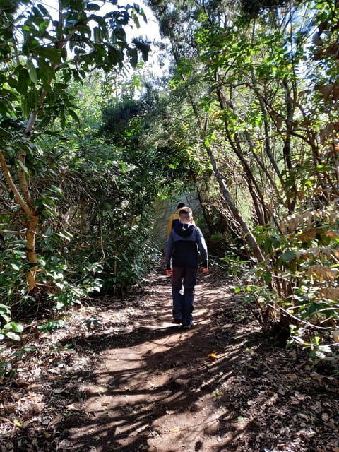 Tenerife: Guided Tour Guide in the Anaga Rural Park - Anaga Biosphere Reserve