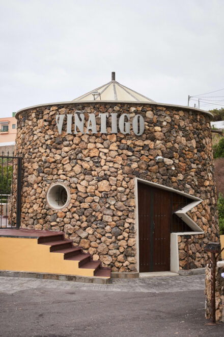 Tenerife: Guided Tour With Tasting of 6 Wines - Variety Garden
