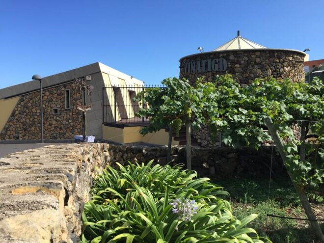 Tenerife: Guided Tour With Tasting of 6 Wines - Winery Architecture