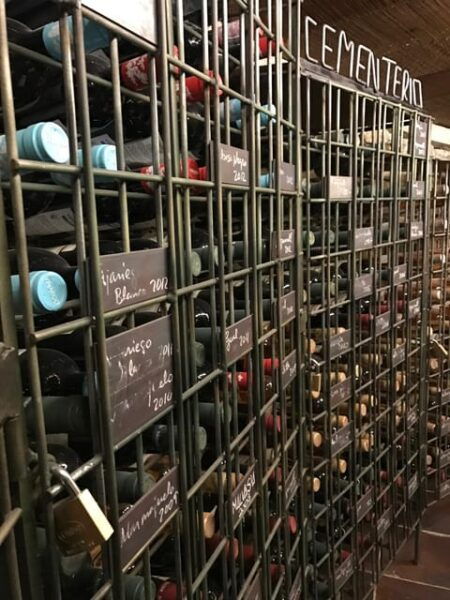 Tenerife: Guided Tour With Tasting of 6 Wines - Canary Islands Wine