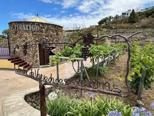 Tenerife: Guided Tour With Tasting of 6 Wines - Wine Tasting