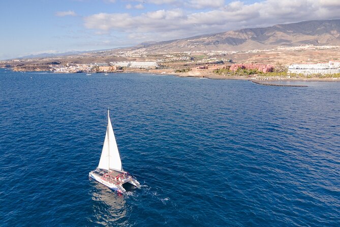 Tenerife Half-Day Dolphin-Watching and Swimming Boat Tour - Inclusions