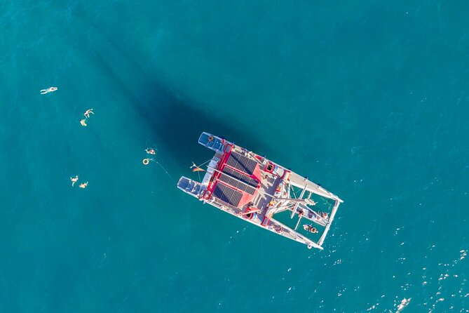 Tenerife Half-Day Dolphin-Watching and Swimming Boat Tour - Directions