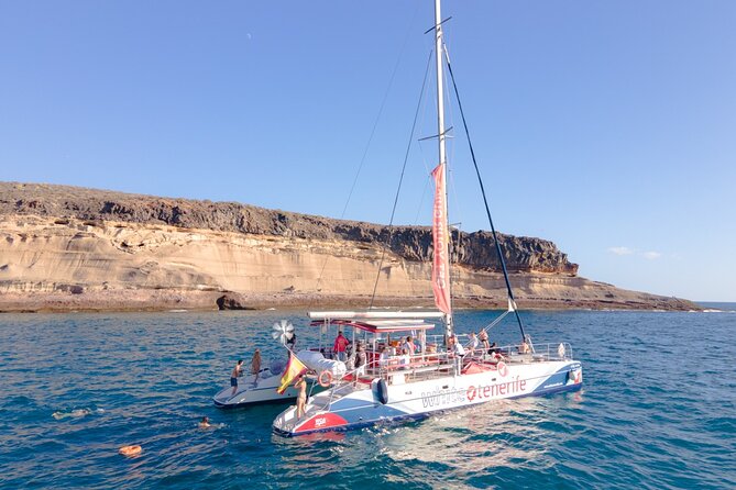 Tenerife Half-Day Dolphin-Watching and Swimming Boat Tour - Common Questions