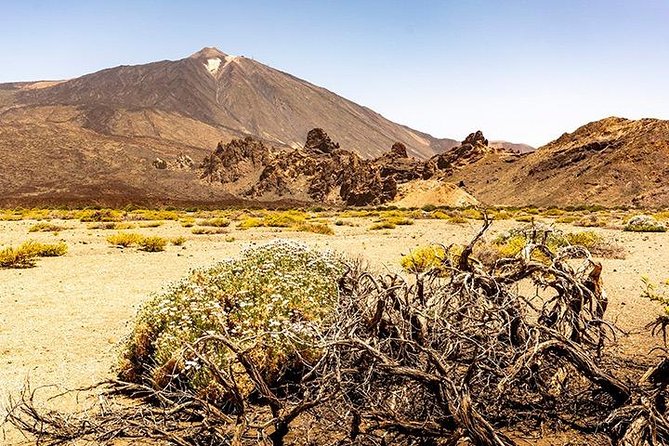 Tenerife Highlights Full-Day Tour - Tour Experience