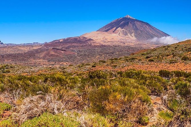 Tenerife Highlights Full-Day Tour - Tenerife Exploration