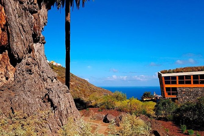Tenerife Highlights Full-Day Tour - Value for Money