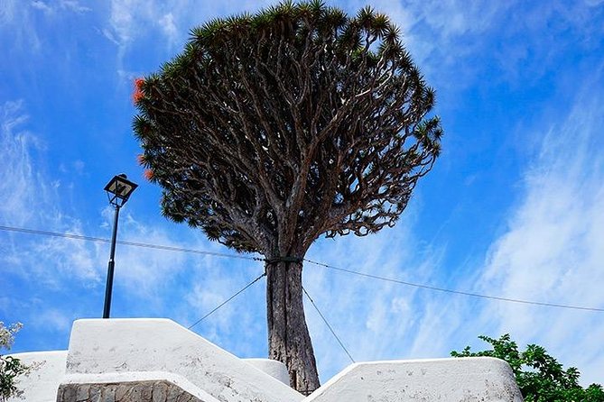 Tenerife Highlights Full-Day Tour - Guide and Commentary