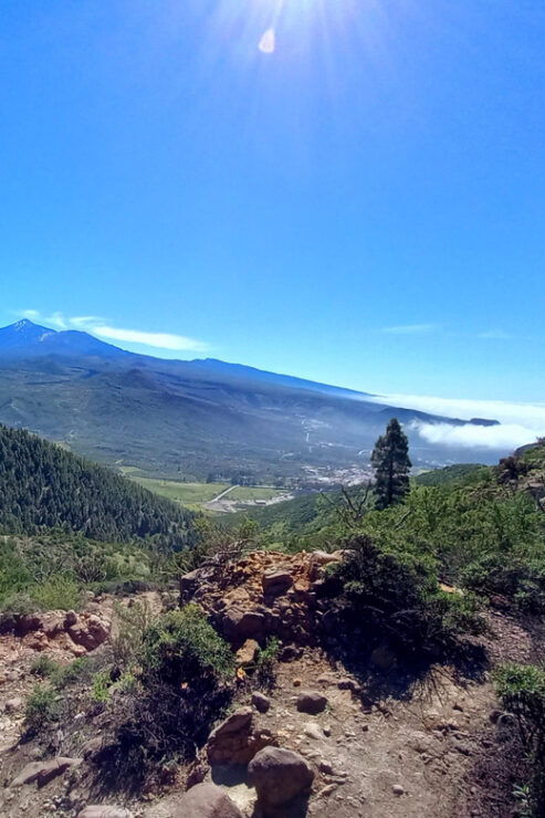 Tenerife: Hiking Above the Village of Masca - Good To Know