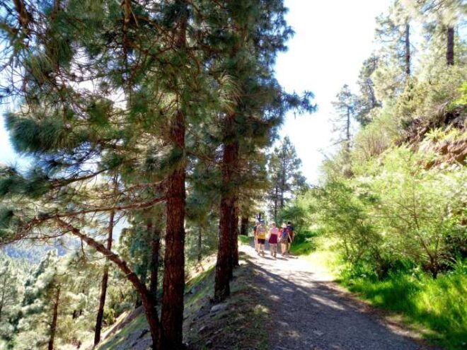 Tenerife: Hiking Above the Village of Masca - Pickup and Drop-off Locations