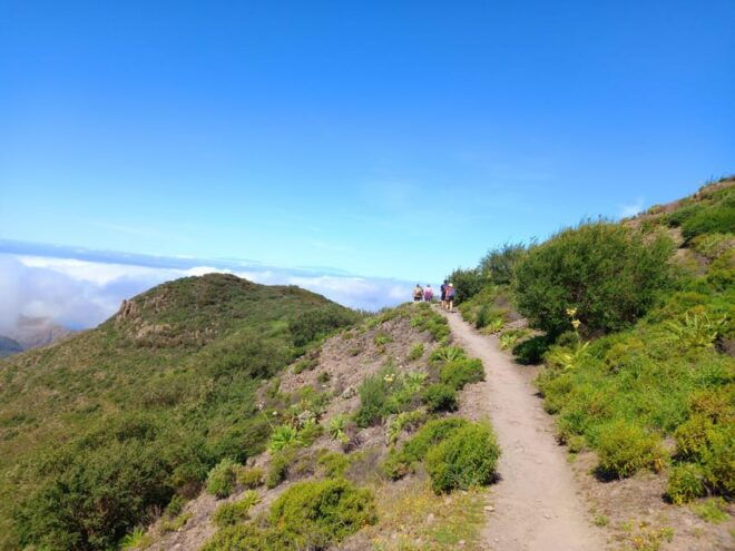 Tenerife: Hiking Above the Village of Masca - Hiking Highlights