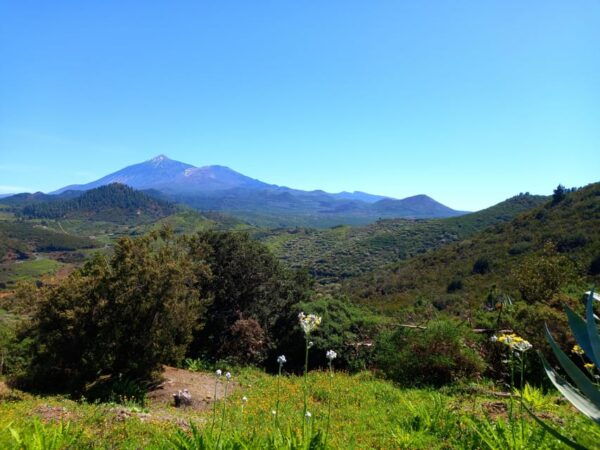 Tenerife: Hiking Above the Village of Masca - Guided Hike Details